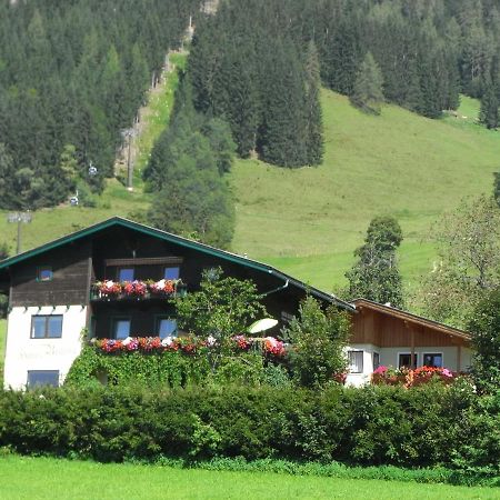 Ferienhaus Regina Werfenweng Ngoại thất bức ảnh