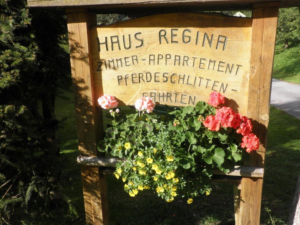 Ferienhaus Regina Werfenweng Ngoại thất bức ảnh